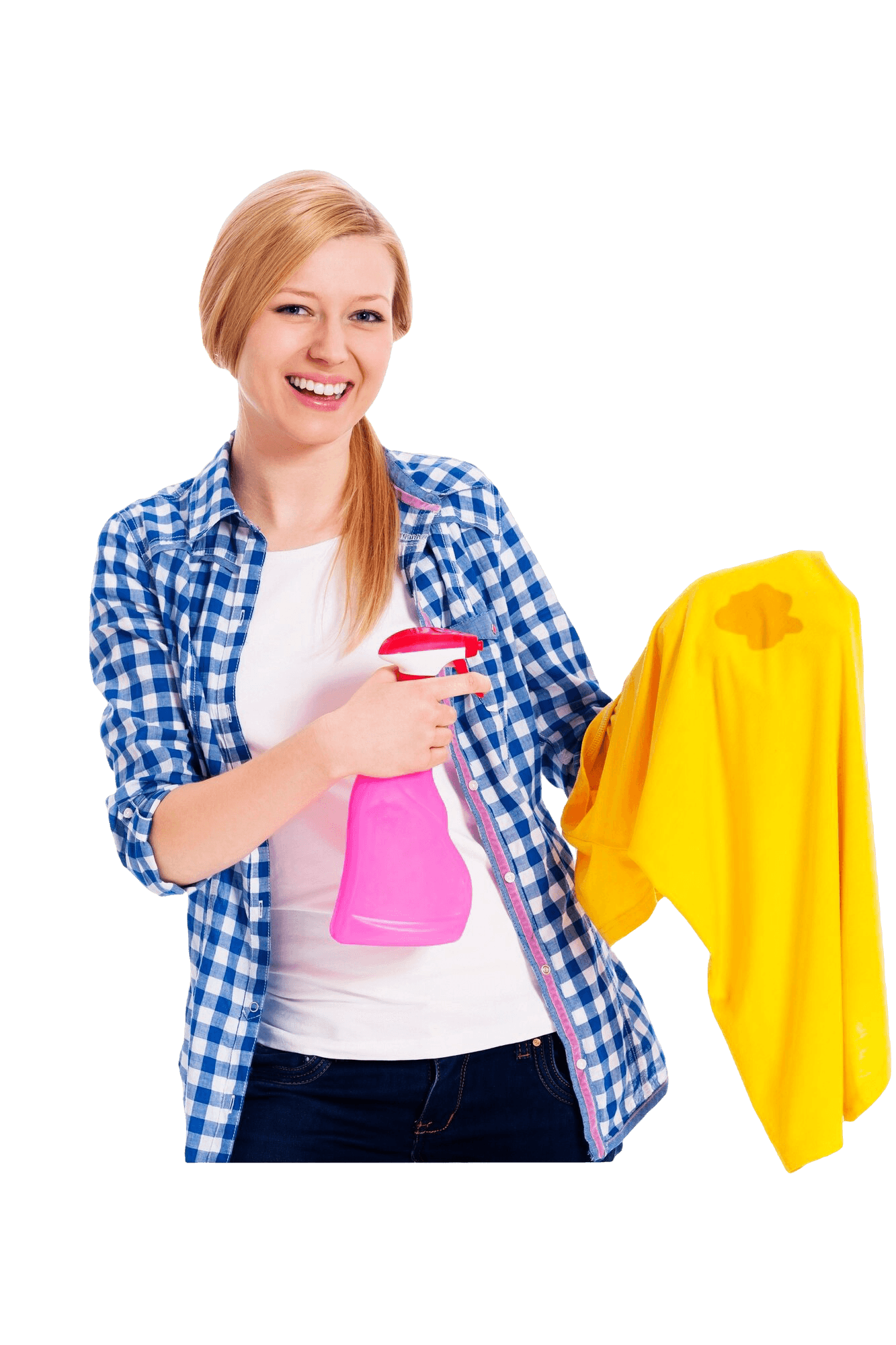 Laundryland service explain image